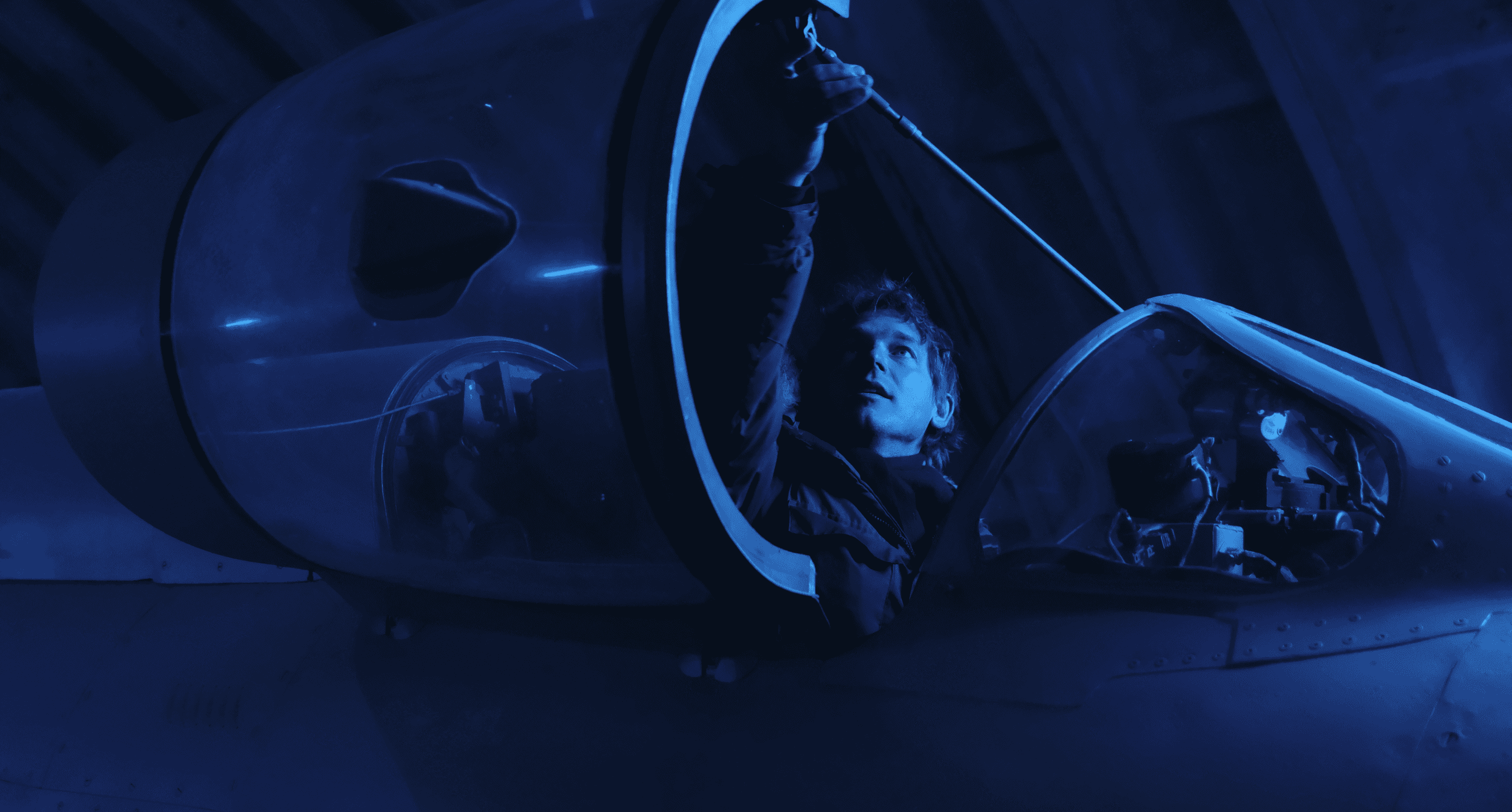 Director's vision Firebird